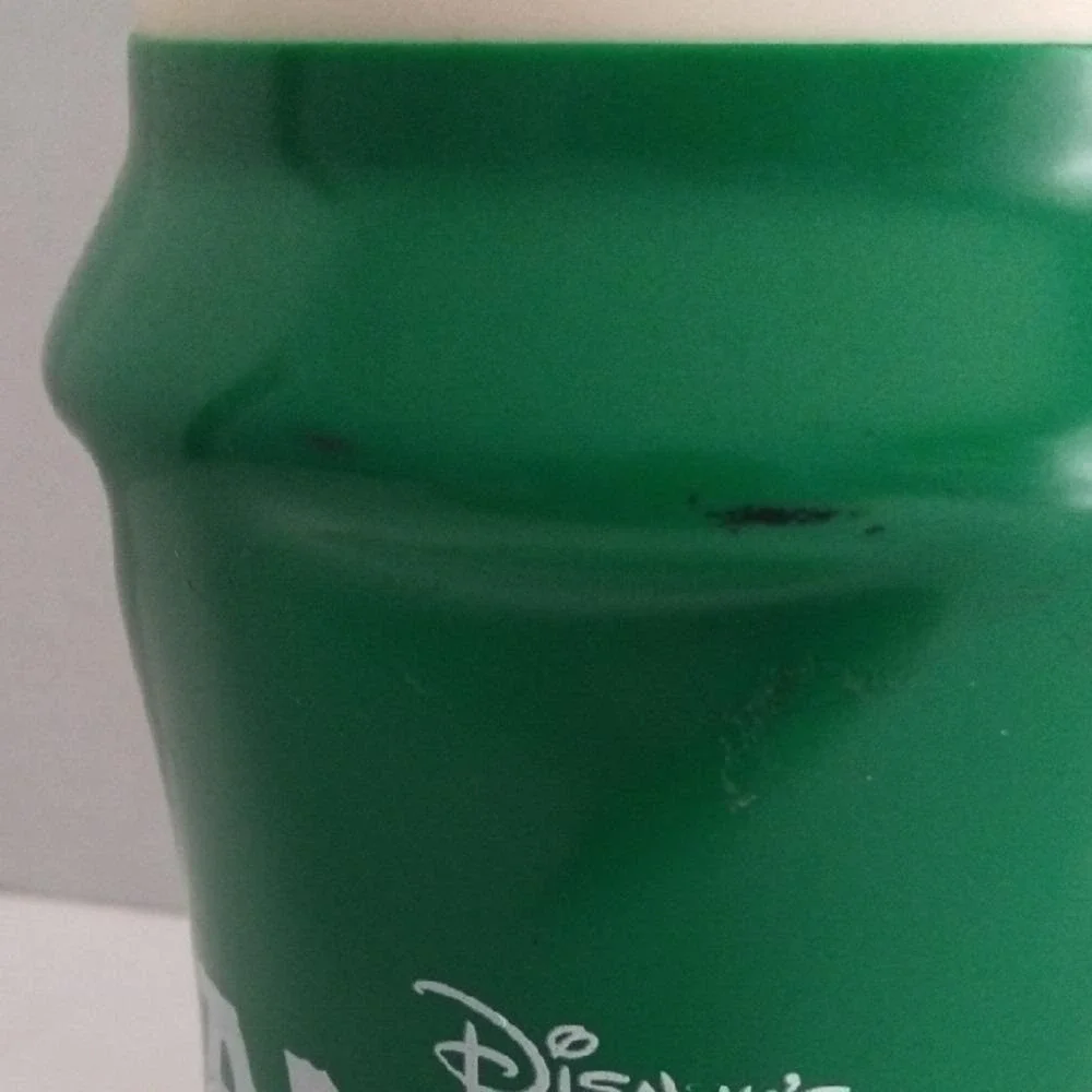 Disney Green Animal Kingdom Koozie‎